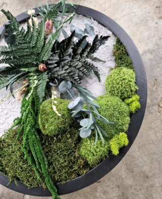 Okrągły obraz z mchu i roślin stabilizowanych z betonem o średnicy 50 cm