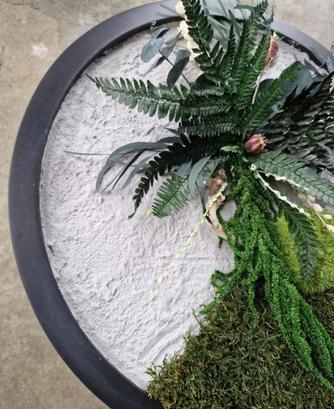 Okrągły obraz z mchu i roślin stabilizowanych z betonem o średnicy 50 cm