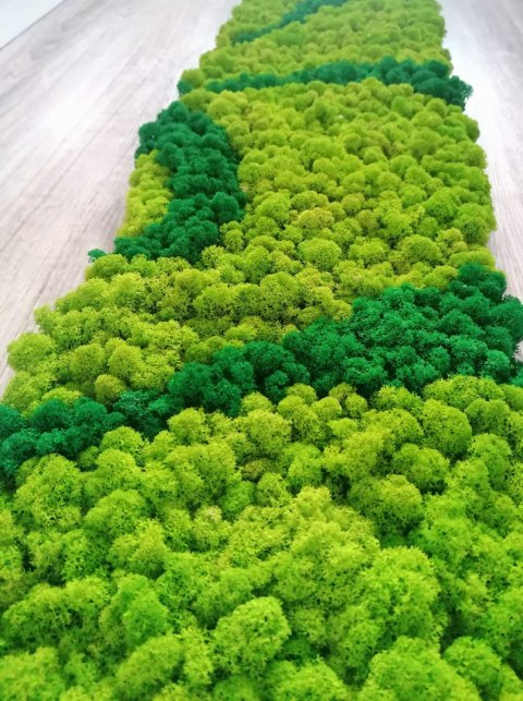 Panel z mchu chrobotka mix