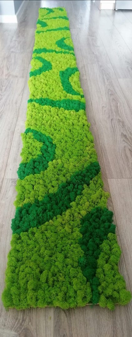 Panel z mchu chrobotka mix