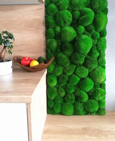 Panel z mchu poduszkowego 50x60 cm