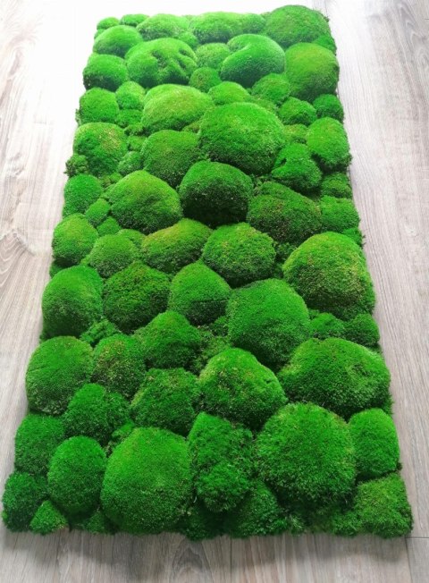 Panel z mchu poduszkowego PREMIUM, 100x50 cm