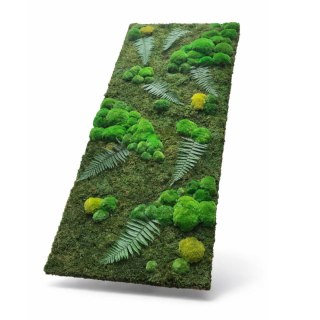 Panel z mchu poduszkowego i płaskiego z dodatkiem paproci