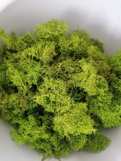 Ściółka z mchu chrobotka 500g