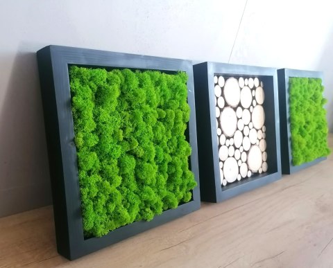 Tryptyk z mchu chrobotka i plastrów drewna, 27x27 cm