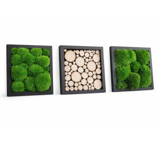 Tryptyk z mchu poduszkowego i plastrów drewna, 27x27 cm