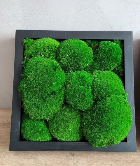 Tryptyk z mchu poduszkowego i plastrów drewna, 27x27 cm