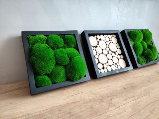 Tryptyk z mchu poduszkowego i plastrów drewna, 40x40