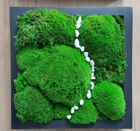 Tryptyk z mchu poduszkowego w ramach 27x27 cm
