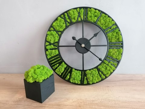 Zegar z mchem chrobotkiem, loft, różne średnice