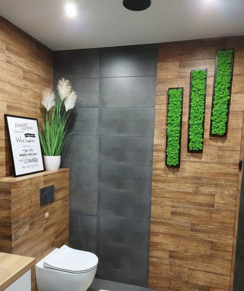 Zestaw ram podłużnych z mchem chrobotkiem