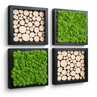 Zestaw ram z mchem i plastrami drewna, 27x27 cm