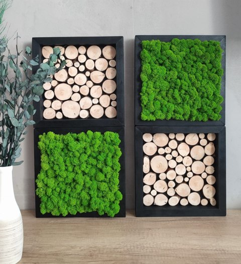 Zestaw ram z mchem i plastrami drewna, 27x27 cm