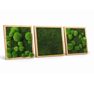 Zestaw trzech dębowych ram z mchem płaskim I poduszkowym