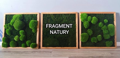 Zestaw trzech dębowych ram z mchem płaskim I poduszkowym