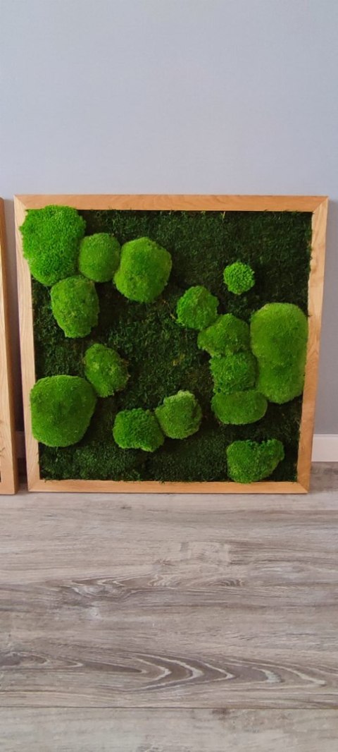 Zestaw trzech dębowych ram z mchem płaskim I poduszkowym