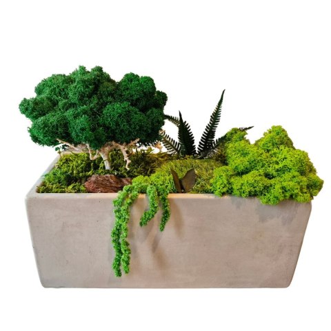 Betonowa doniczka z mchem I roślinami, drzewko z mchu