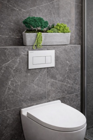 Betonowa doniczka z mchem I roślinami, drzewko z mchu