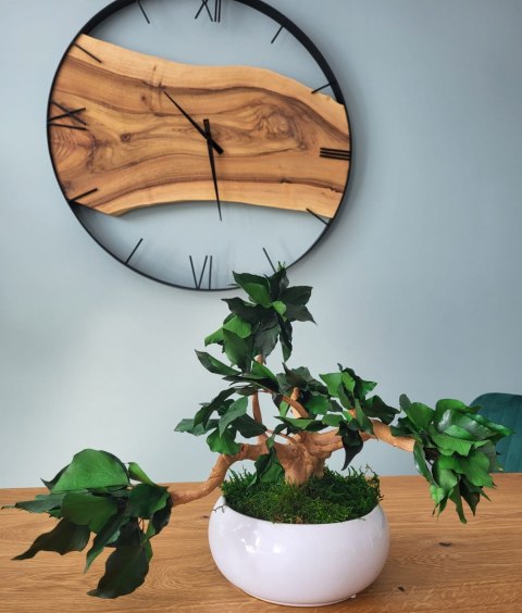 Bezobsługowe drzewko bonsai