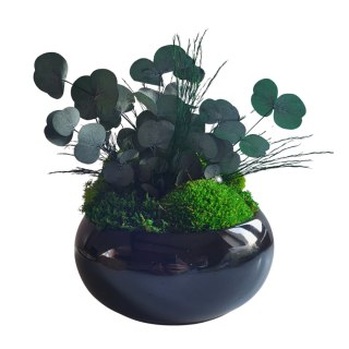 Doniczka z mchem i eukaliptusem