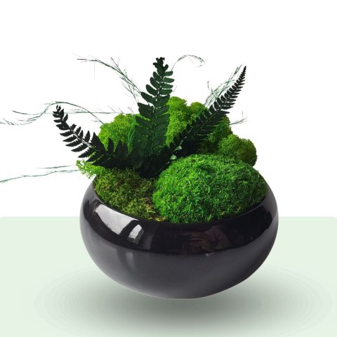 Doniczka z mchem i roślinami - zrób to sam diy