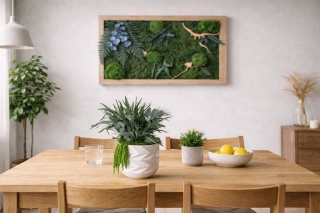 Doniczka z roślinami stabilizowanymi