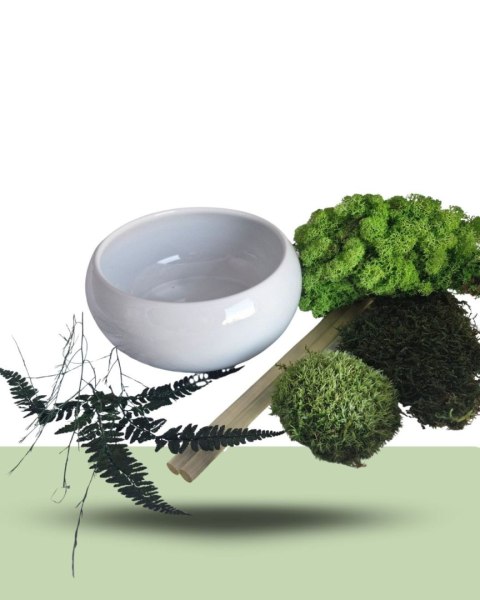 E-book Jak zrobić Doniczkę z chrobotkiem ?