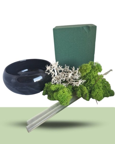 E-book Jak zrobić Doniczkę z chrobotkiem ?