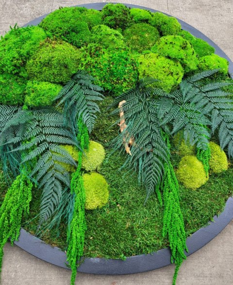 Leśny obraz z mchu i roślin stabilizowanych 80 cm