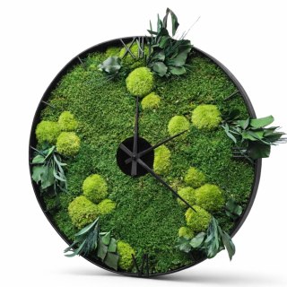 Metalowy zegar z mchem I roślinami stabilizowanymi 50 cm