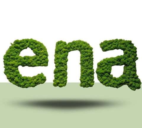 Napis z mchu chrobotka, logo firmy z mchu