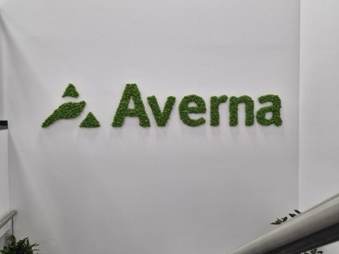 Napis z mchu chrobotka, logo firmy z mchu