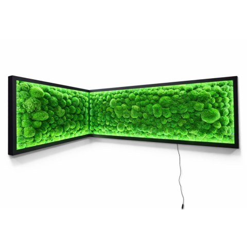 Narożny obraz z mchu z podświetleniem LED 