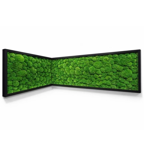 Narożny obraz z mchu poduszkowego na dowolny wymiar