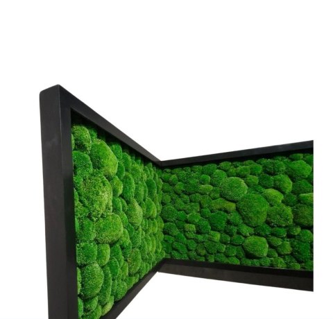 Narożny obraz z mchu poduszkowego na dowolny wymiar