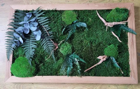 Obraz w dębowej ramie z mchu i roślin stabilizowanych z dodatkiem korzeni