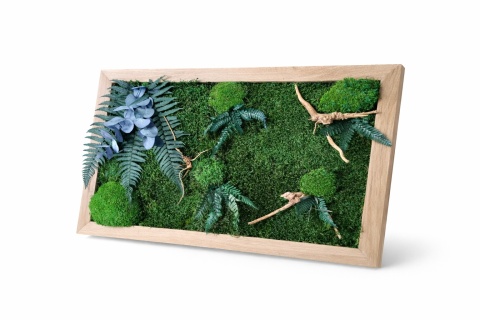 Obraz w dębowej ramie z mchu i roślin stabilizowanych z dodatkiem korzeni