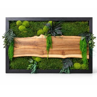 Obraz z mchu I roślin stabilizowanych z deską z orzecha wloskiego