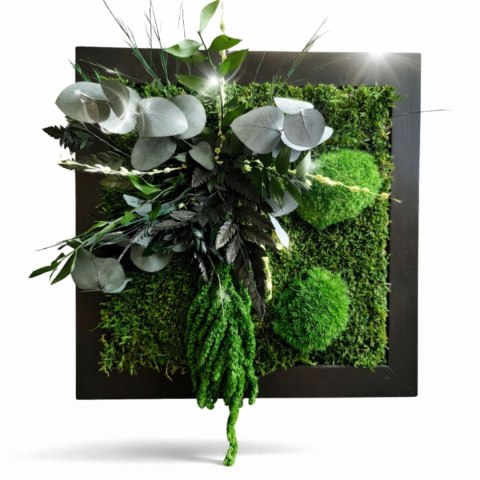 Obraz z mchu i roślin stabilizowanych 27x27