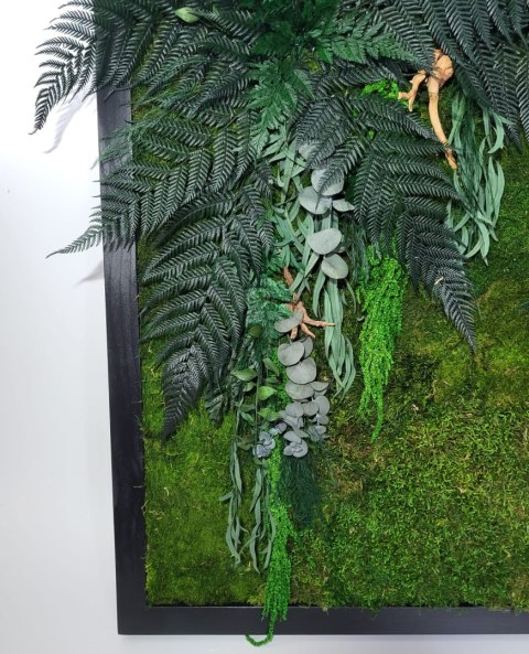 Obraz z mchu i roślin stabilizowanych 80x80 cm