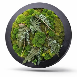 Obraz z mchu i roślin stabilizowanych 95 cm