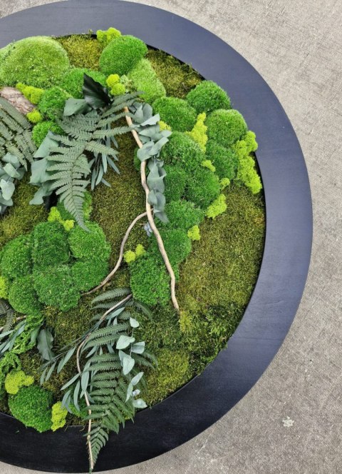 Obraz z mchu i roślin stabilizowanych 95 cm