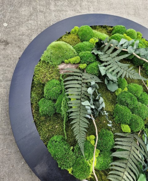 Obraz z mchu i roślin stabilizowanych 95 cm