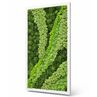 Obraz z mchu poduszkowego, bagiennego i chrobotka 100x150 cm