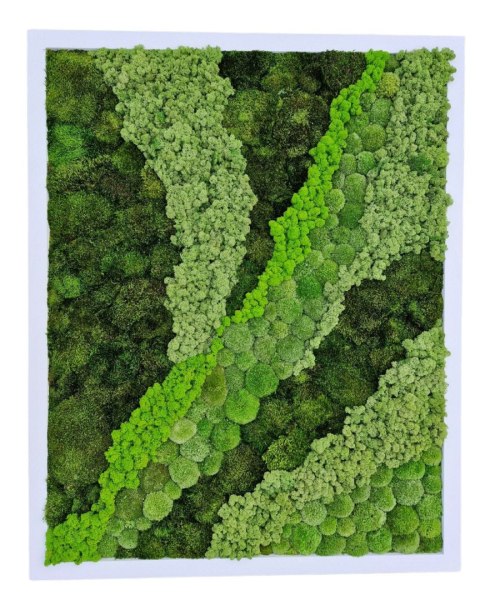 Obraz z mchu poduszkowego, bagiennego i chrobotka 100x150 cm