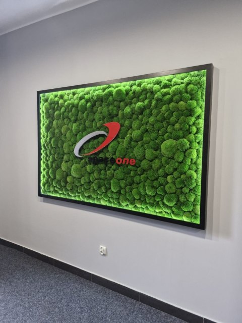 Obraz z mchu z Twoim logo, obraz z logo firmy z podświetleniem LED