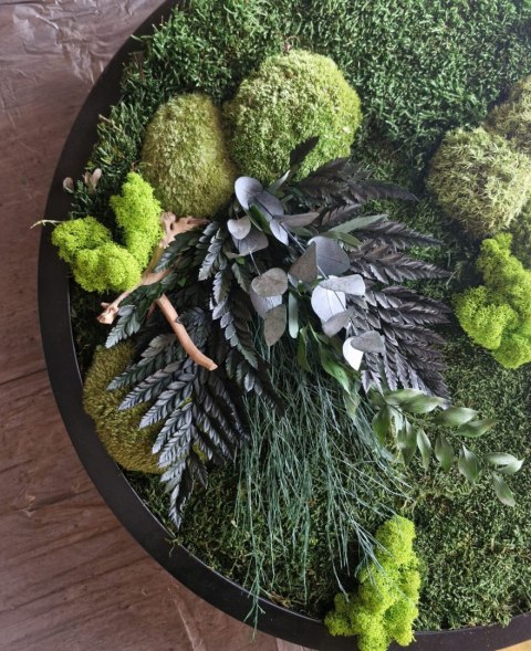 Okrągły obraz z mchu I roślin stabilizowanych, 60 cm