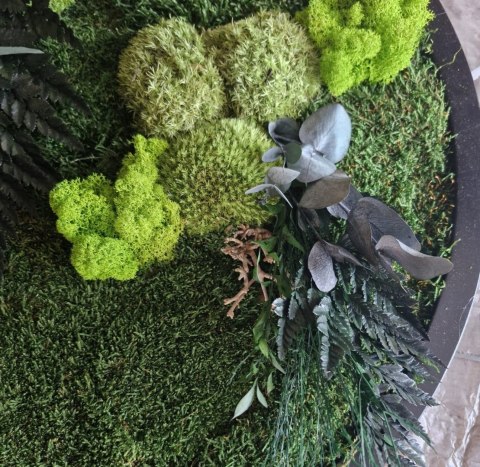 Okrągły obraz z mchu I roślin stabilizowanych, 60 cm