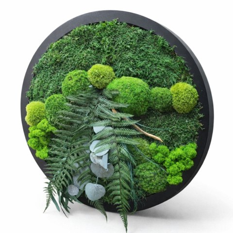 Obraz z mchu i roślin