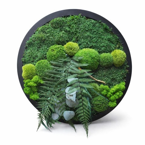 Okrągły obraz z mchu i roślin stabilizowanych, 50 cm